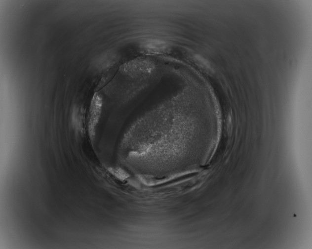X0000083571346200703021736