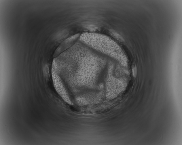 X0000083571347200703021736