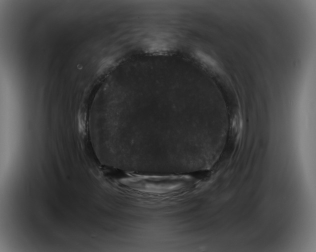 X0000083571348200703021736