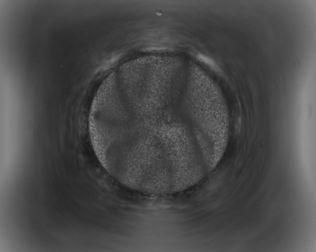 X0000083571350200703021735