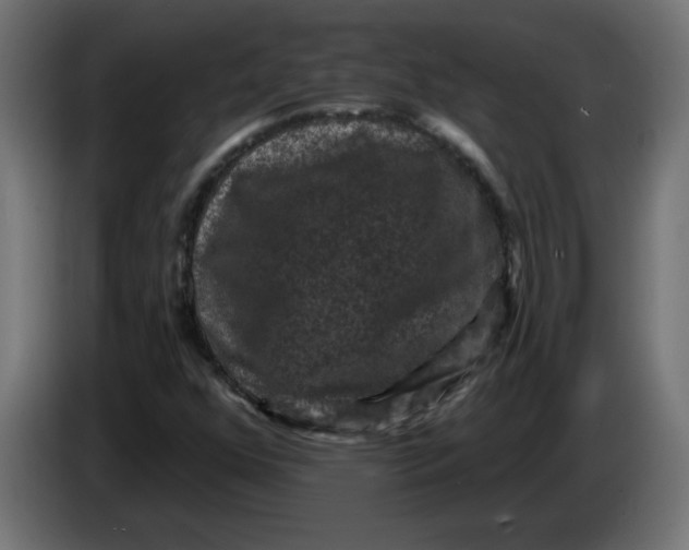 X0000083571352200703021735