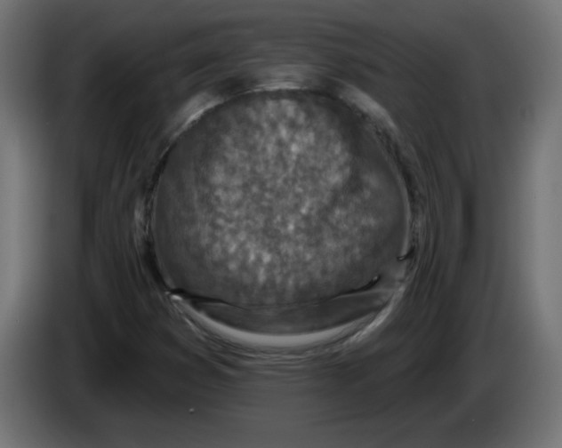 X0000083571353200703021735