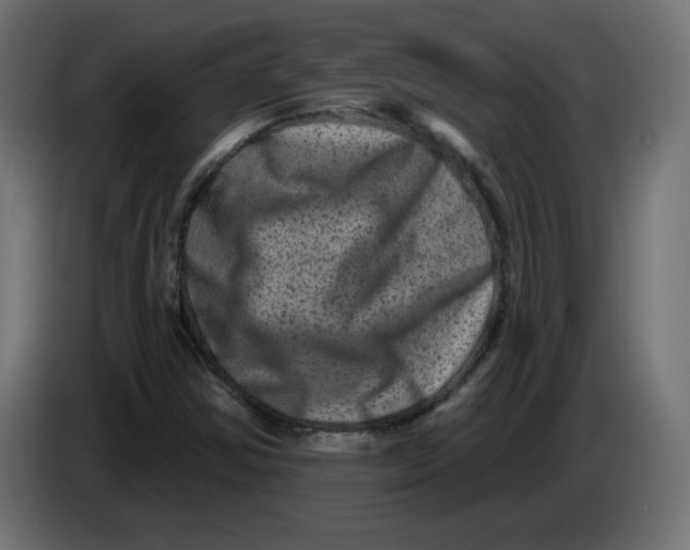X0000083571354200703021735