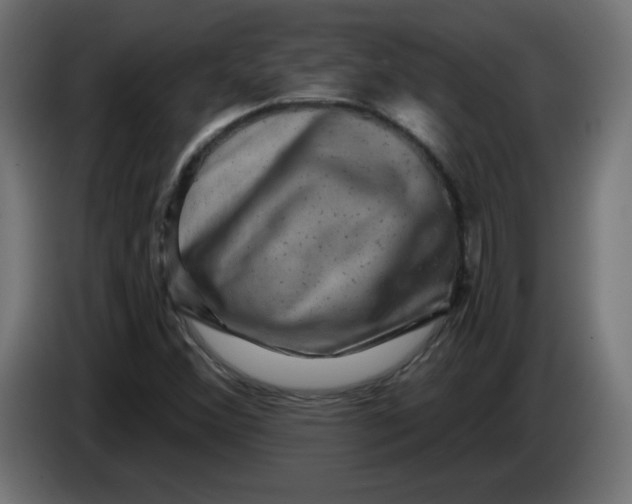 X0000083571356200703021735