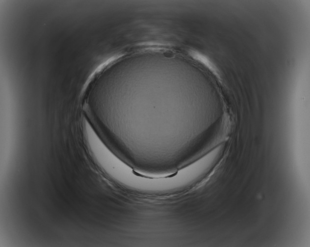X0000083571357200703021735