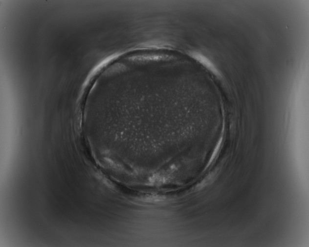 X0000083571358200703021735