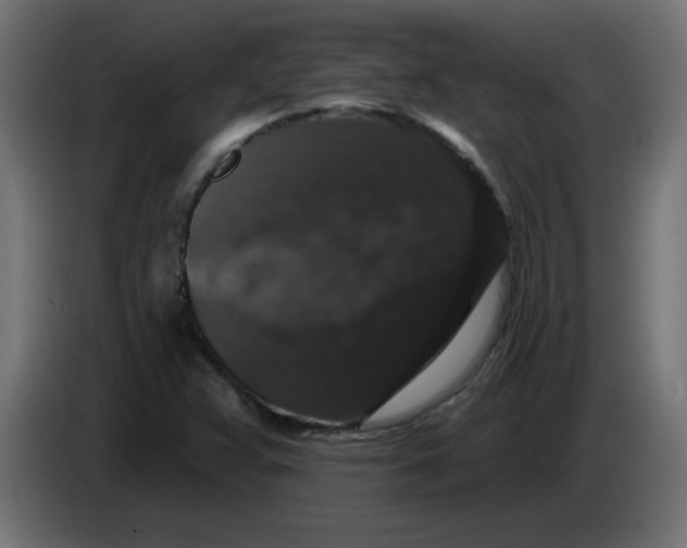 X0000083571359200703021735