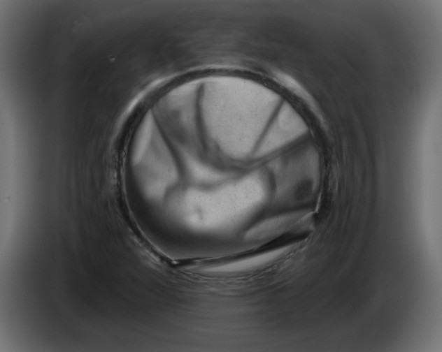X0000083571360200703021735
