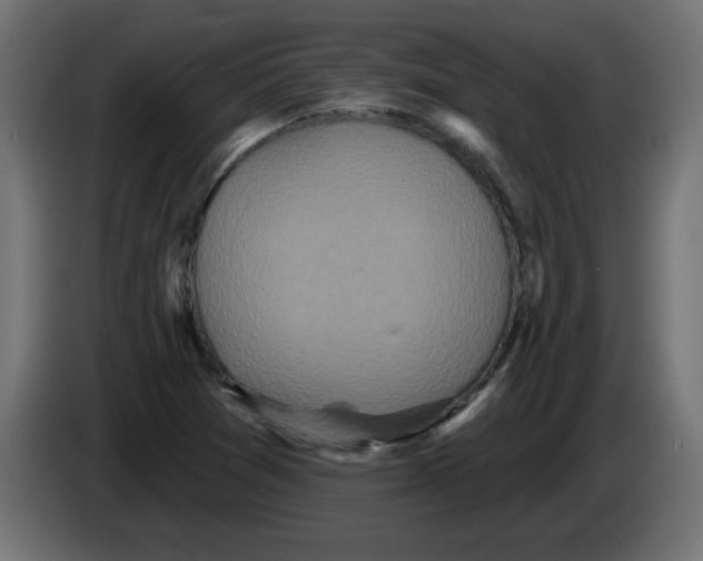X0000083571361200703021735