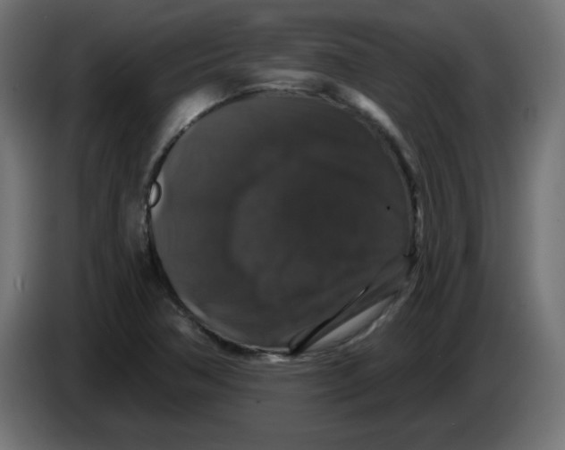 X0000083571362200703021735