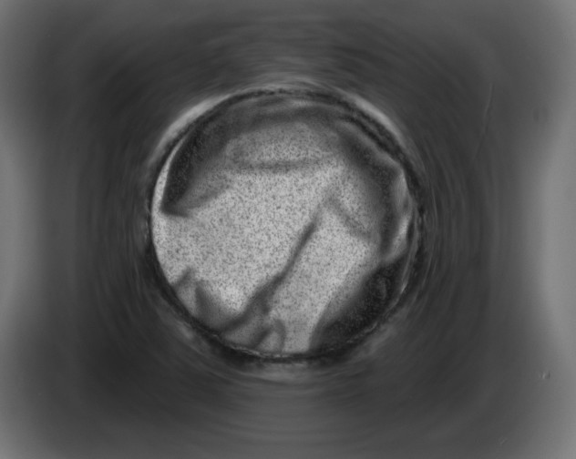 X0000083571363200703021735