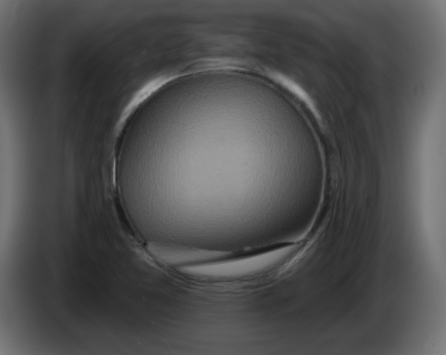 X0000083571365200703021735