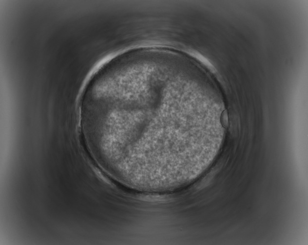 X0000083571366200703021735