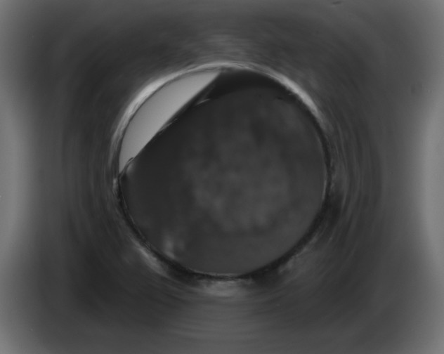 X0000083571367200703021735