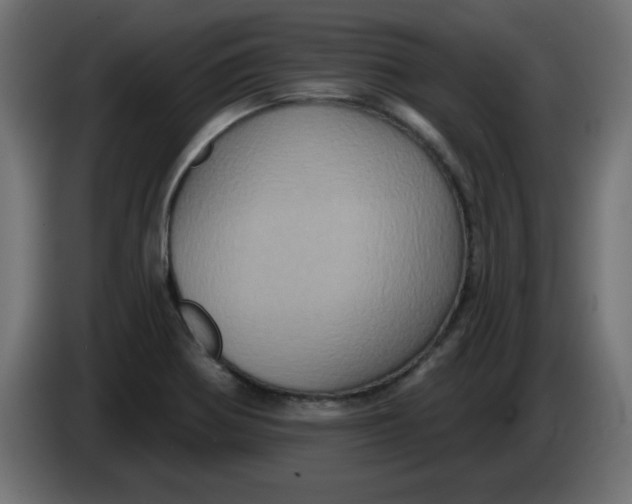 X0000083571370200703021735