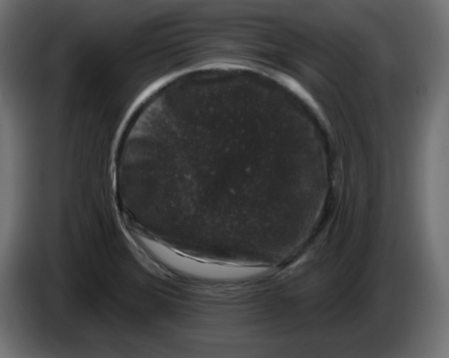 X0000083571372200703021735
