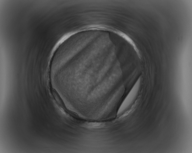 X0000083571373200703021735