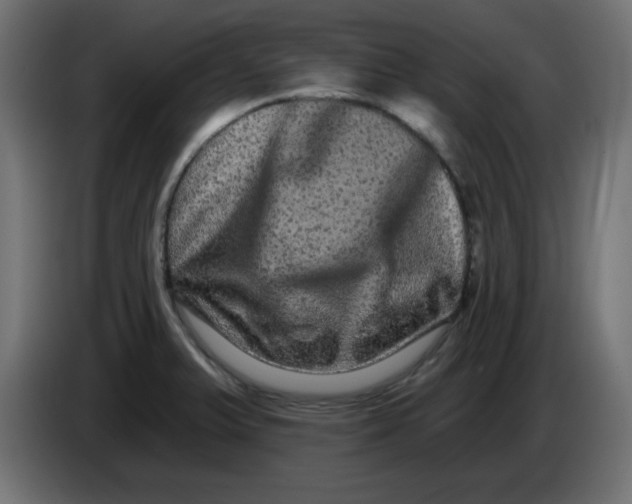 X0000083571375200703021735