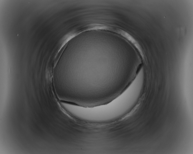 X0000083571377200703021735