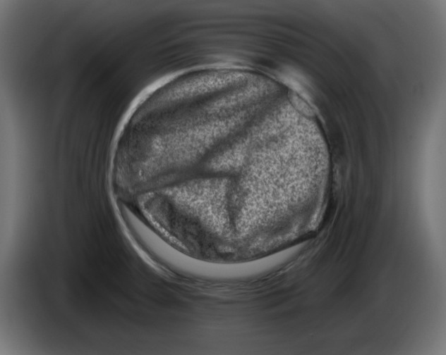 X0000083571379200703021735