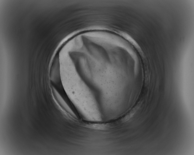 X0000083571380200703021735