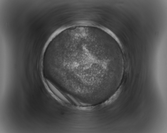 X0000083571381200703021735