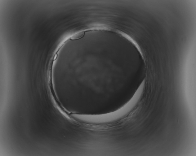 X0000083571383200703021735