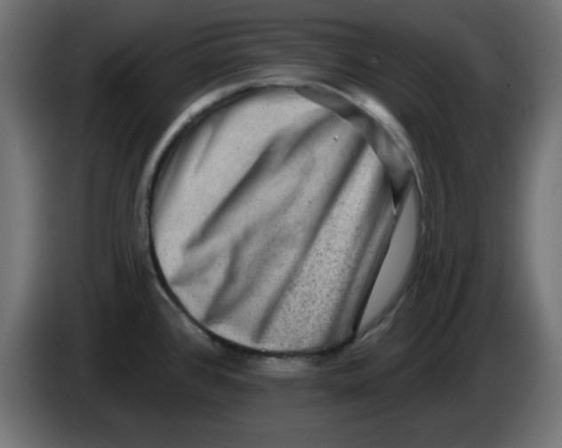X0000083571384200703021735