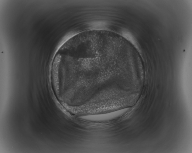 X0000083571386200703021735