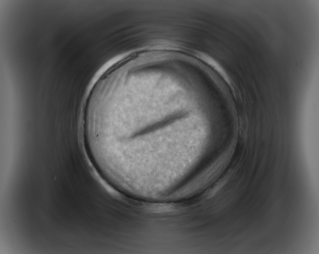 X0000083571387200703021735