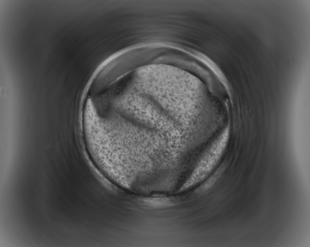 X0000083571388200703021735