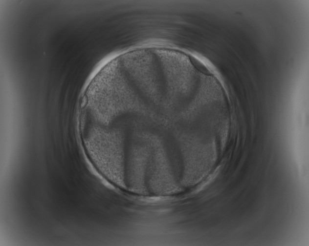 X0000083571390200703021735