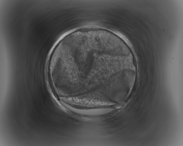 X0000083571392200703021735