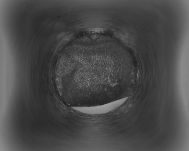 X0000083571393200703021734