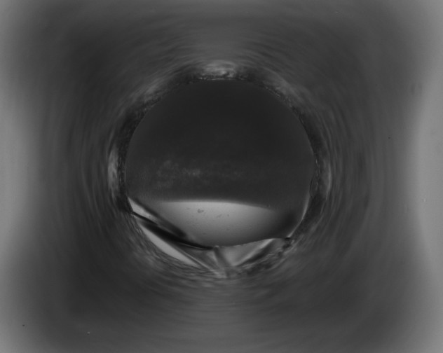 X0000083571394200703021734