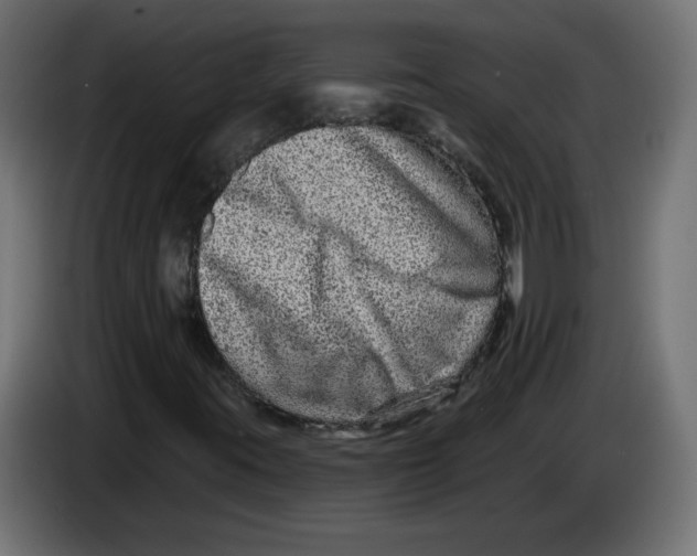 X0000083571395200703021734