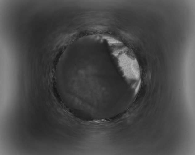 X0000083571397200703021734