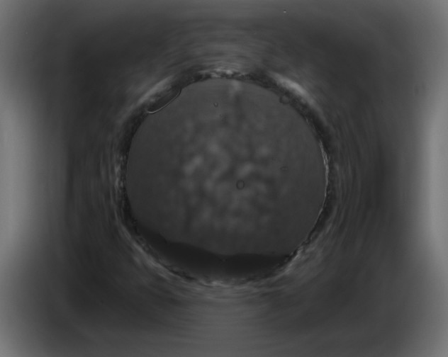 X0000083571399200703021734