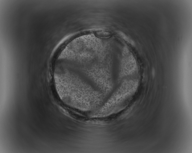 X0000083571400200703021734