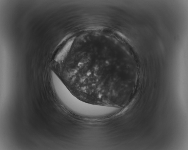 X0000083571401200703021734