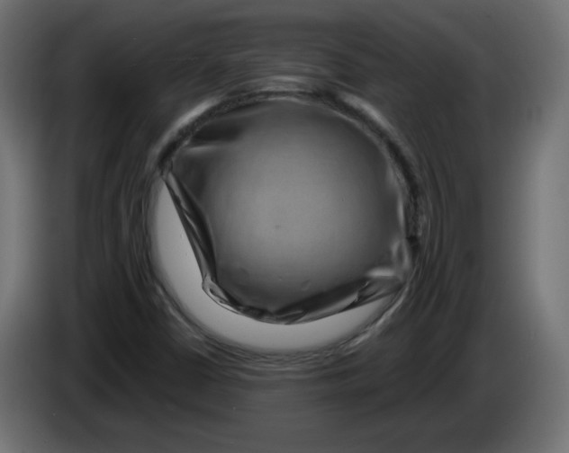 X0000083571402200703021734