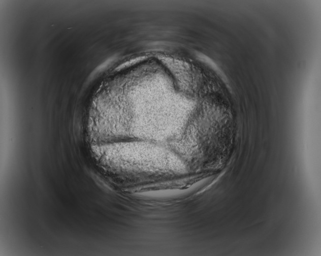 X0000083571403200703021734