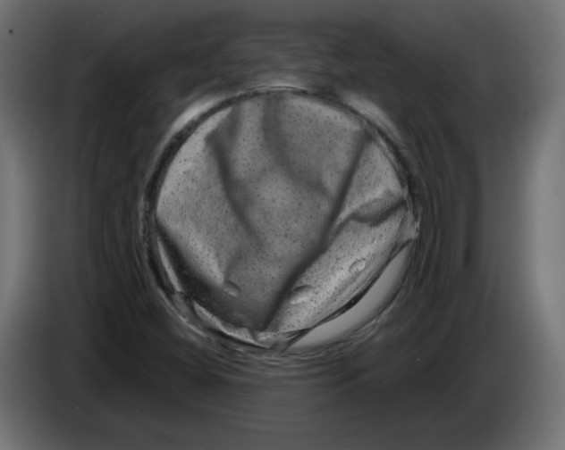 X0000083571404200703021734
