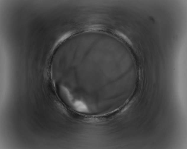X0000083571405200703021734