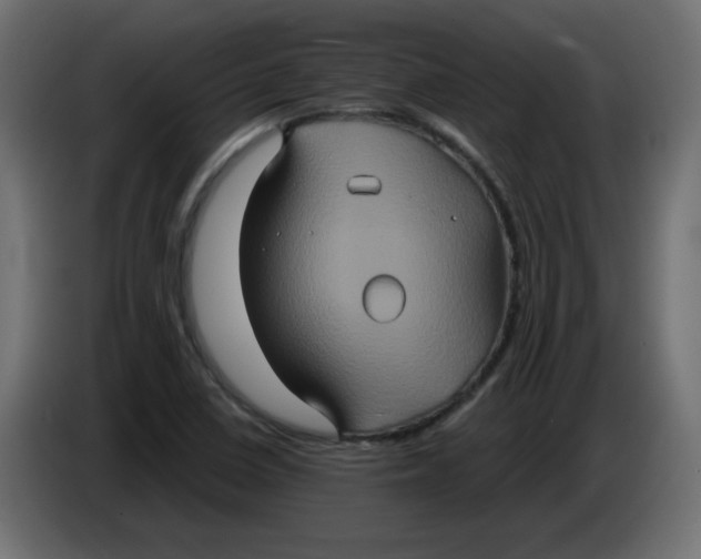 X0000083571410200703021734