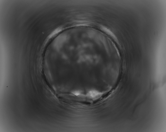X0000083571411200703021734