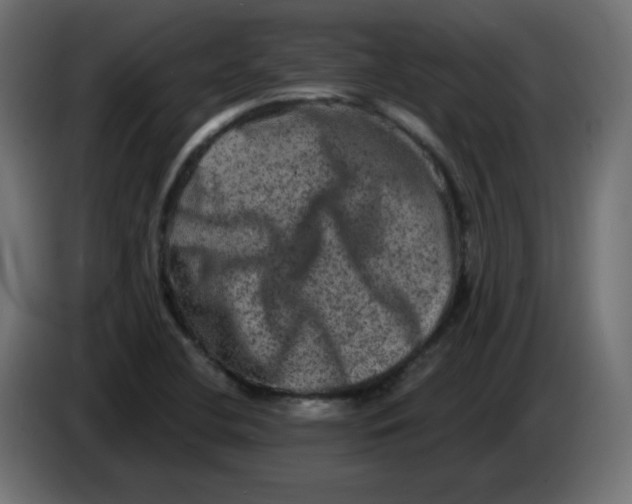 X0000083571412200703021734