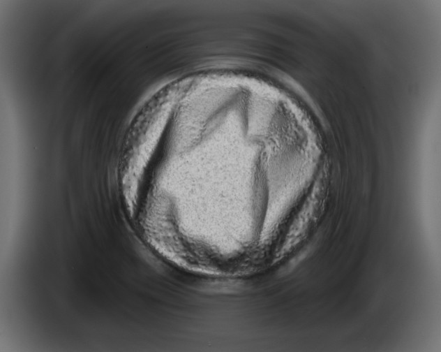 X0000083571417200703021734