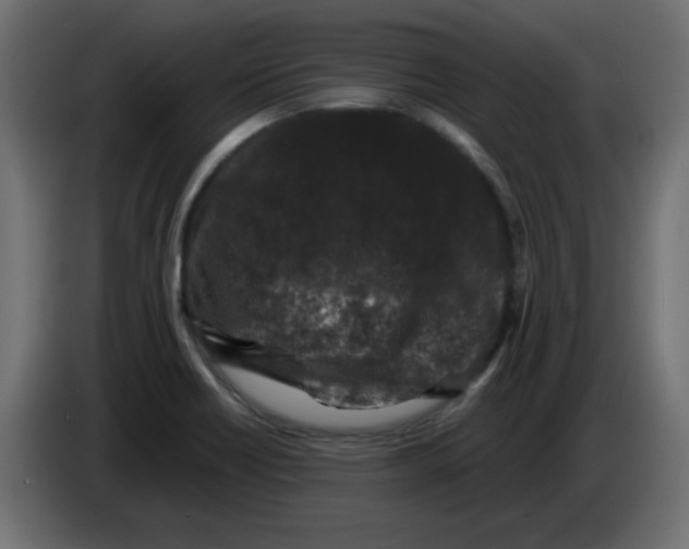 X0000083571418200703021734