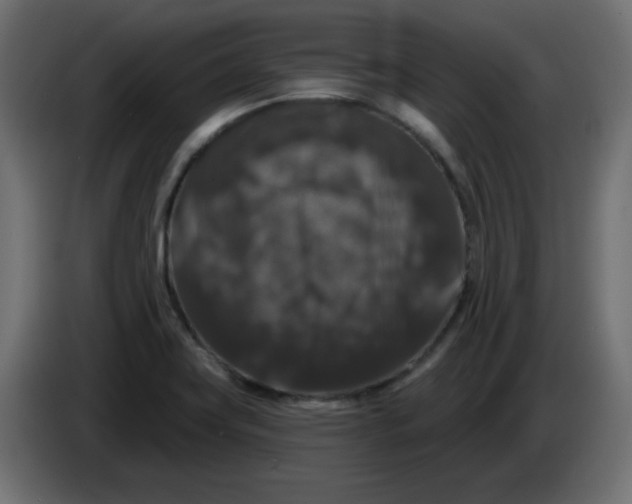 X0000083571419200703021734
